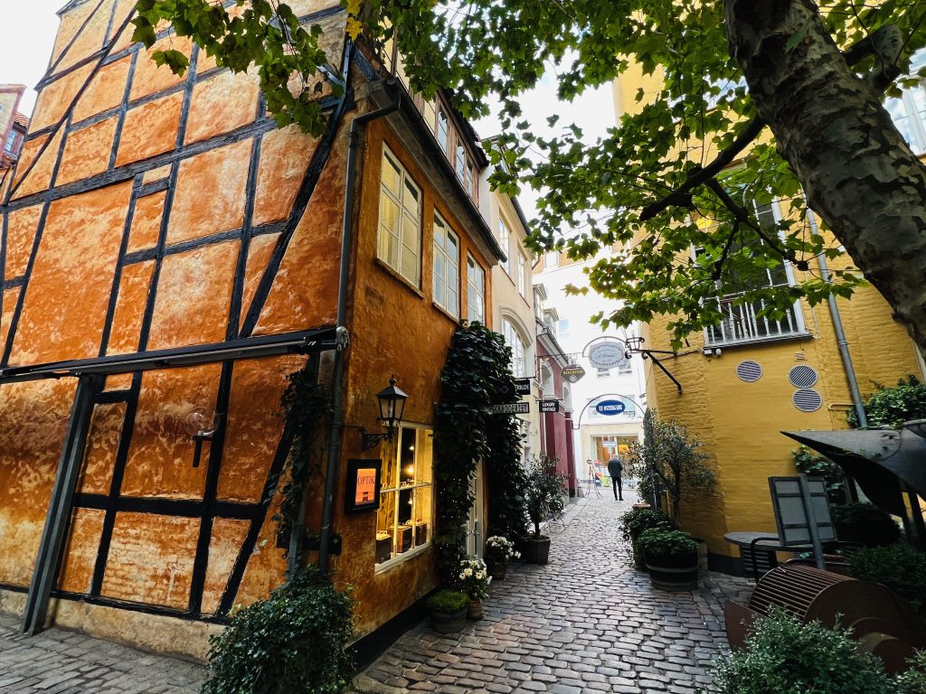 Mano Danija. Belaukiant didžiausių metų švenčių