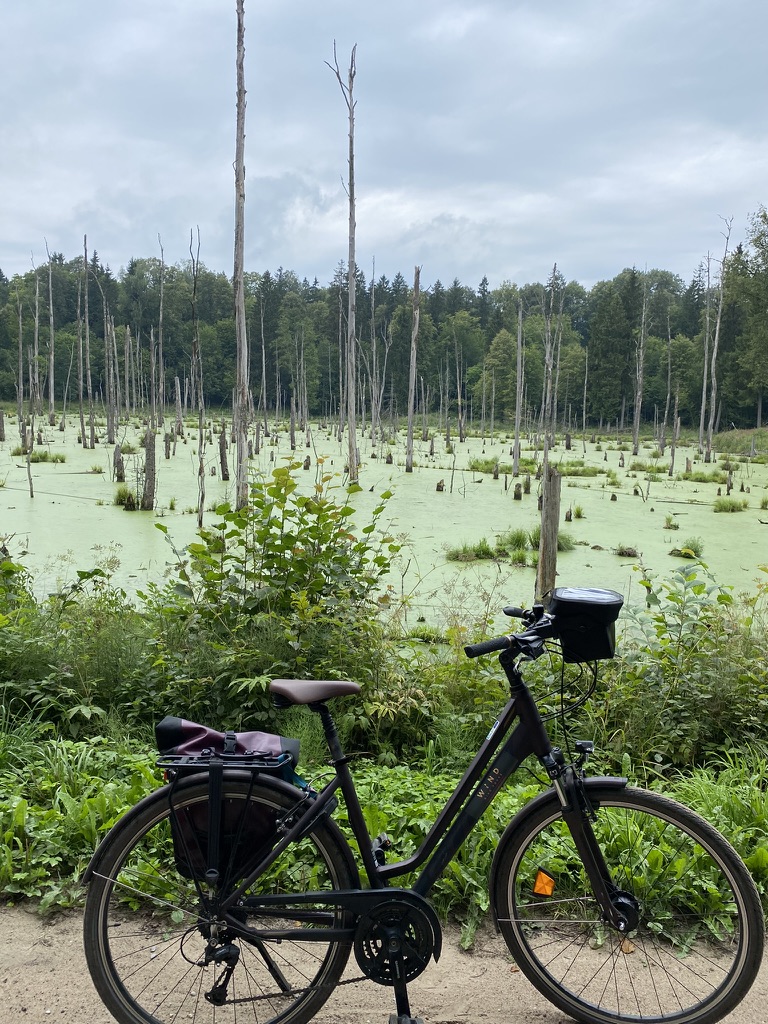 Dviračiais po Mozūrus (Lenkija)